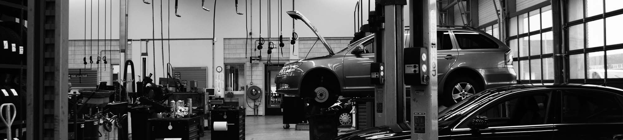 GASTON SOFTWARE LITE